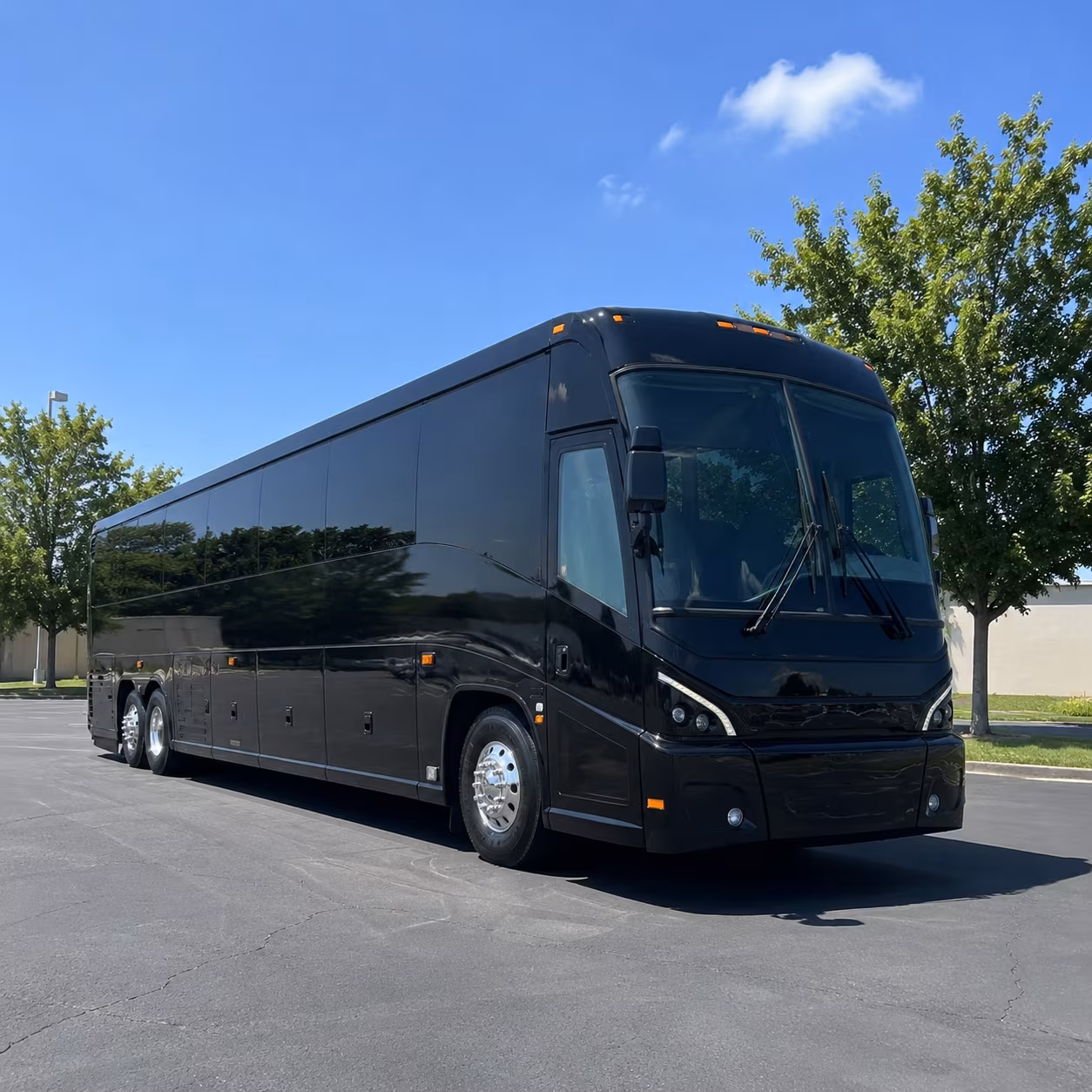 charter buses to forest home big bear and inland empire retreat destinations